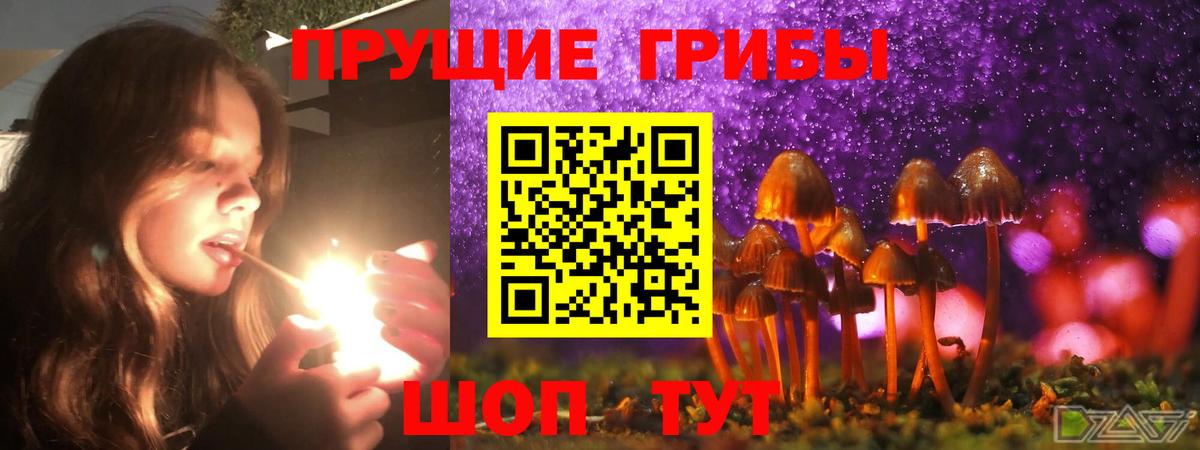 Сальск  Псилоцибиновые грибы ЛСД  Вход с VPN 